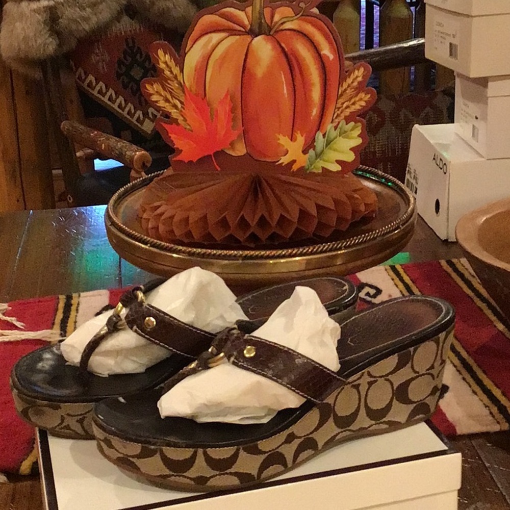 Coach Dark Brown Evita Printed Python Sandal. - image 2